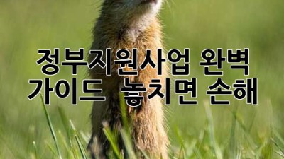 정부지원사업 완벽 가이드 🔑 놓치면 손해! 💸