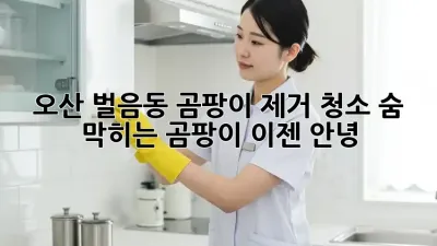 오산 벌음동 곰팡이 제거 청소🚨 숨 막히는 곰팡이, 이젠 안녕!