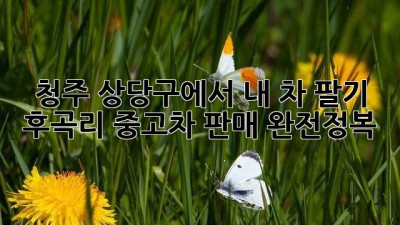 청주 상당구에서 내 차 팔기🚗💨: 후곡리 중고차 판매 완전정복!